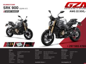 QJ Motor SRK 900