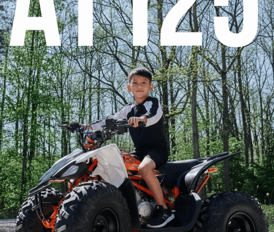 Kayo AT125 full