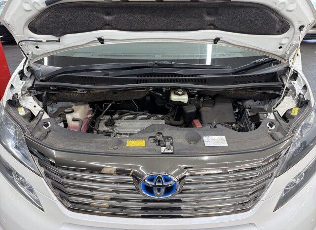 Toyota Vellfire full